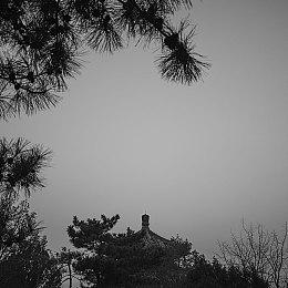 《龙珠：超宇宙2》新DLC“未来传奇”公布